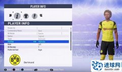 FIFA19 桑乔脸型修正补丁和新的游戏优化[基于第8个更新包]