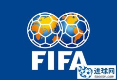 前埃及国脚抨击FIFA：国际足联对俄罗斯和以色列使用“双重标准”